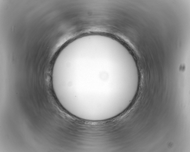 X0000094381266200711020816