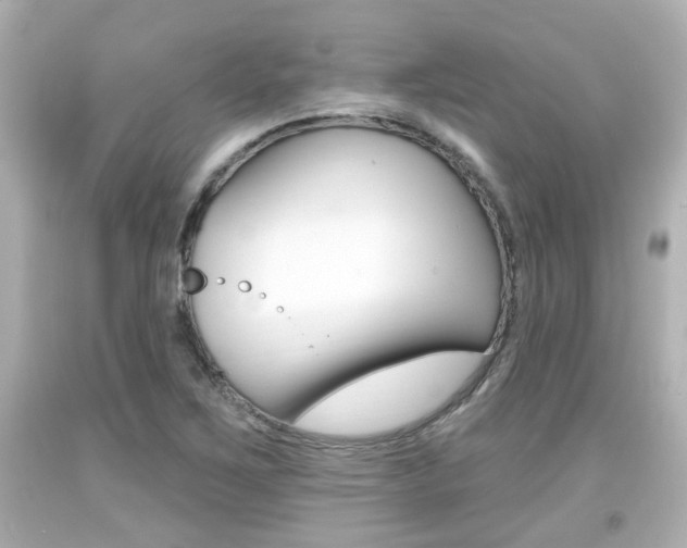 X0000094381267200711020816