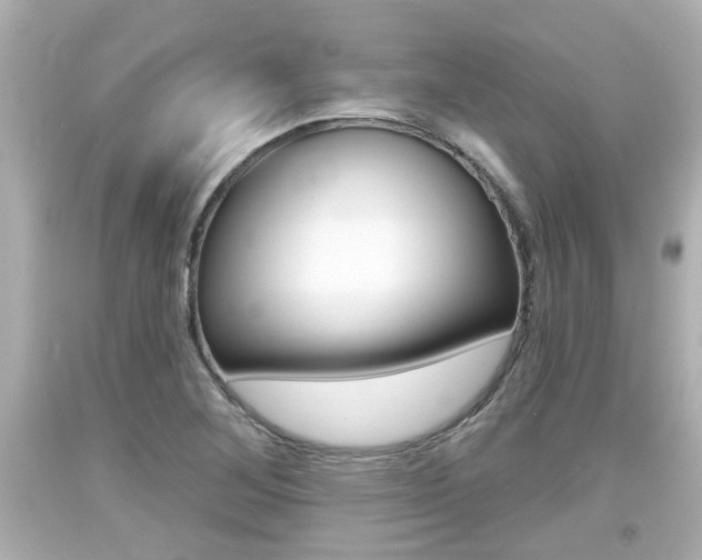 X0000094381268200711020816