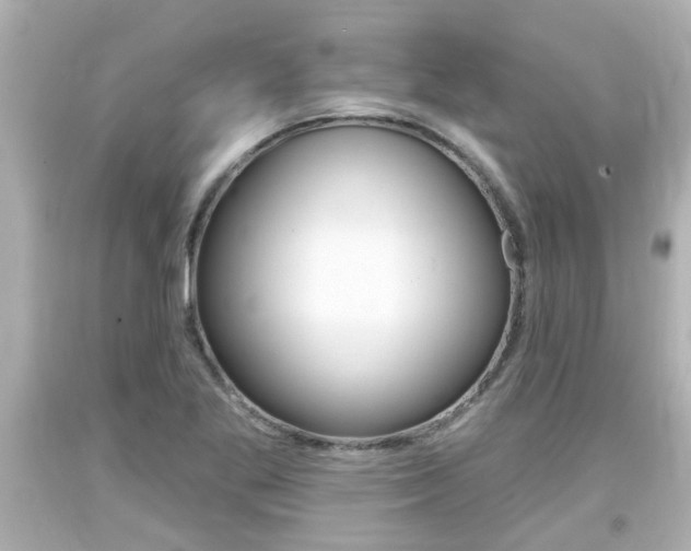 X0000094381269200711020816