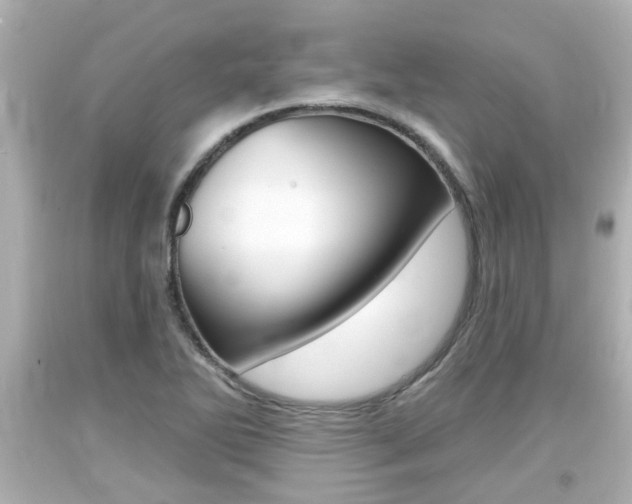 X0000094381270200711020816