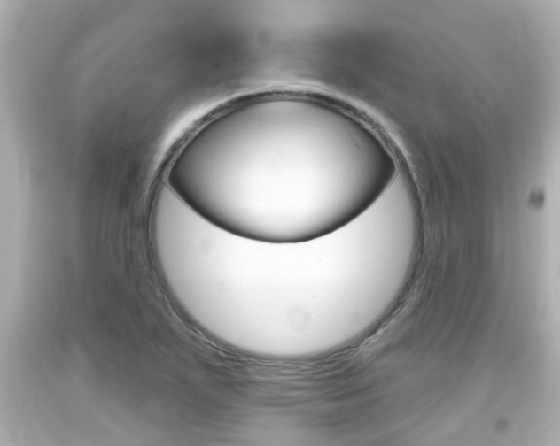 X0000094381271200711020816