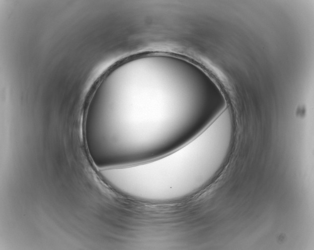X0000094381272200711020816