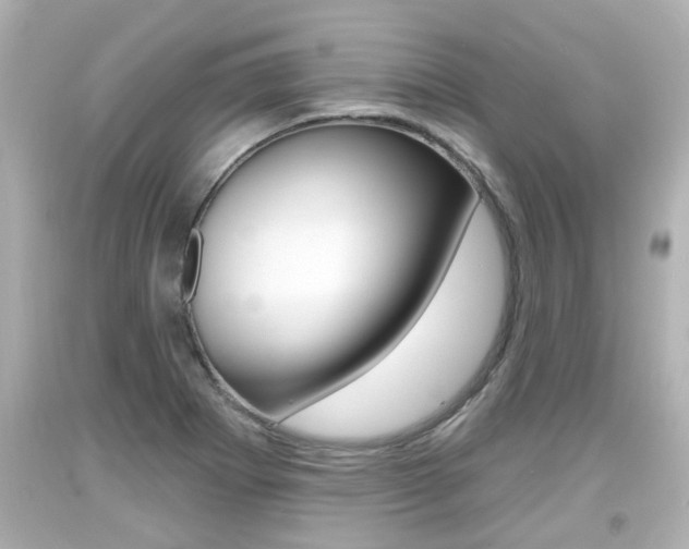 X0000094381273200711020816