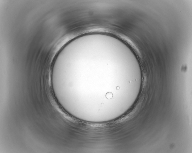 X0000094381274200711020816