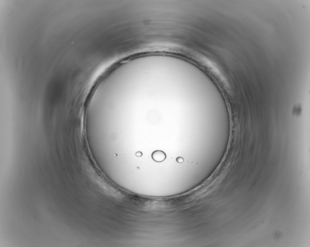X0000094381275200711020816