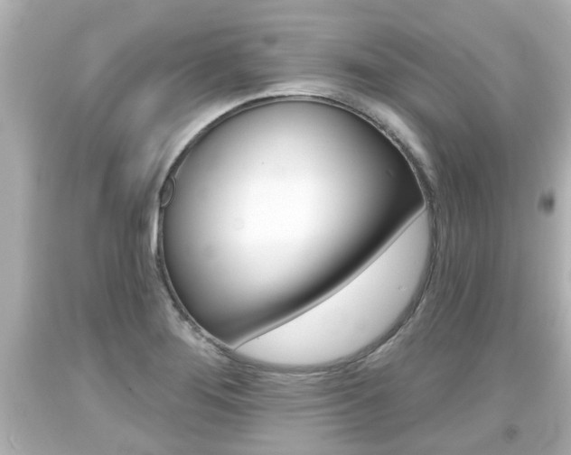 X0000094381276200711020816