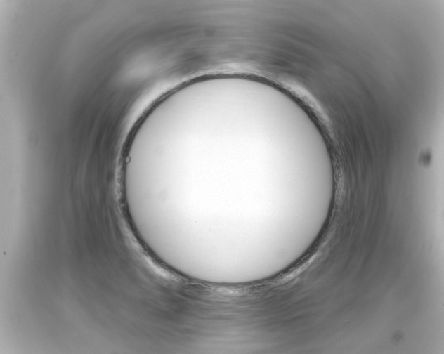 X0000094381278200711020816