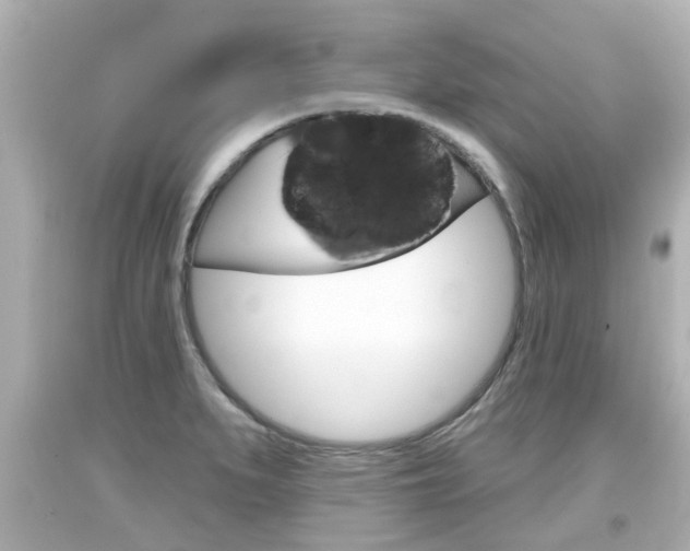 X0000094381279200711020816