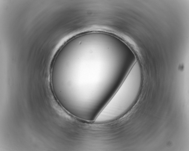 X0000094381280200711020816