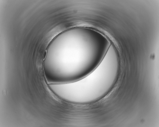 X0000094381281200711020816
