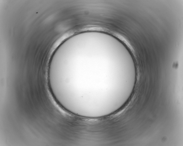 X0000094381282200711020816
