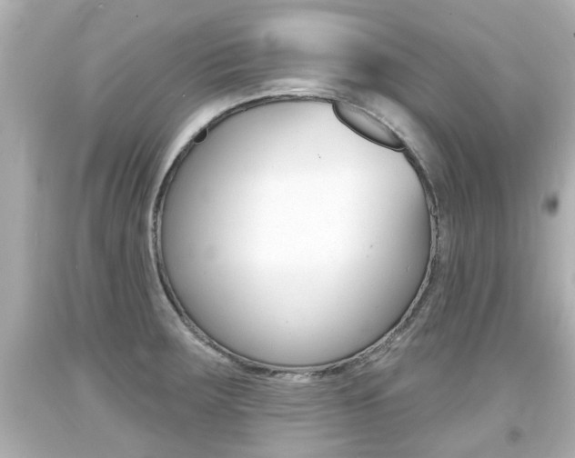X0000094381283200711020816