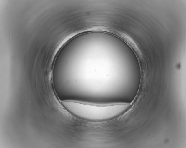 X0000094381284200711020816