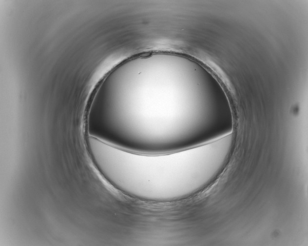 X0000094381285200711020816
