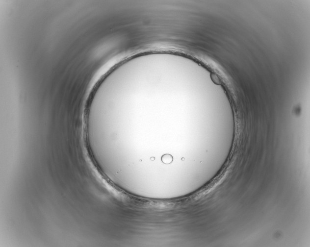 X0000094381286200711020816