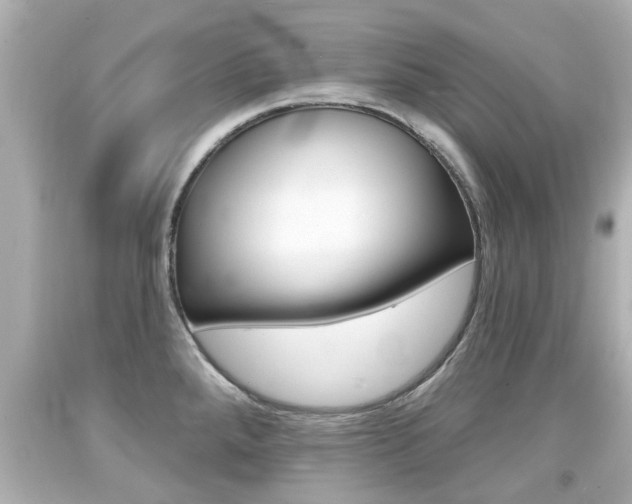 X0000094381288200711020816