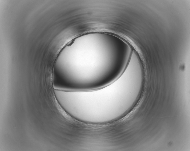 X0000094381289200711020816