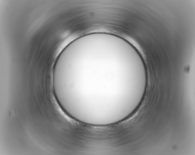 X0000094381290200711020816