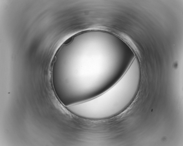 X0000094381292200711020816