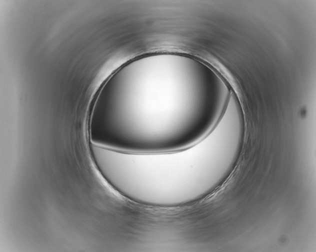 X0000094381293200711020816