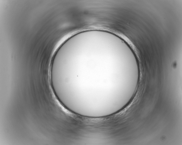 X0000094381294200711020816