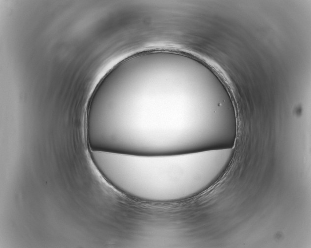 X0000094381295200711020816