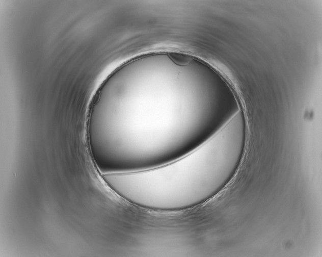 X0000094381296200711020816