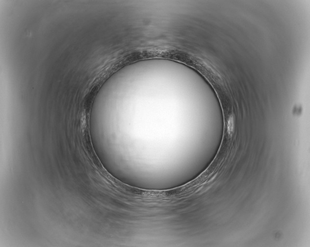 X0000094381299200711020815
