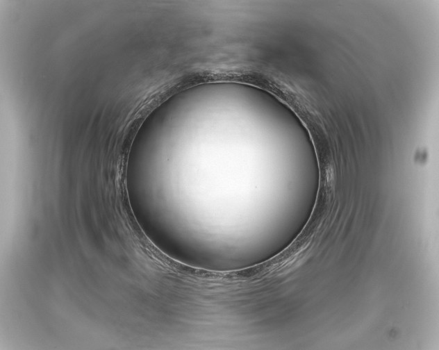 X0000094381300200711020815