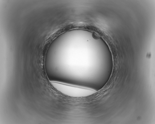 X0000094381301200711020815