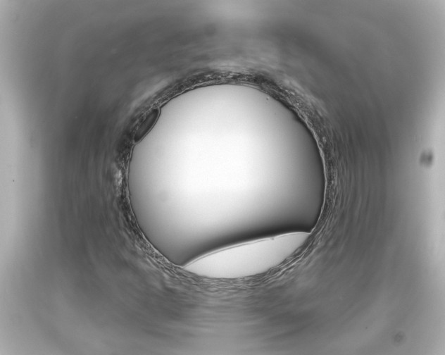 X0000094381302200711020815