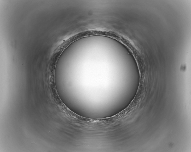 X0000094381303200711020815