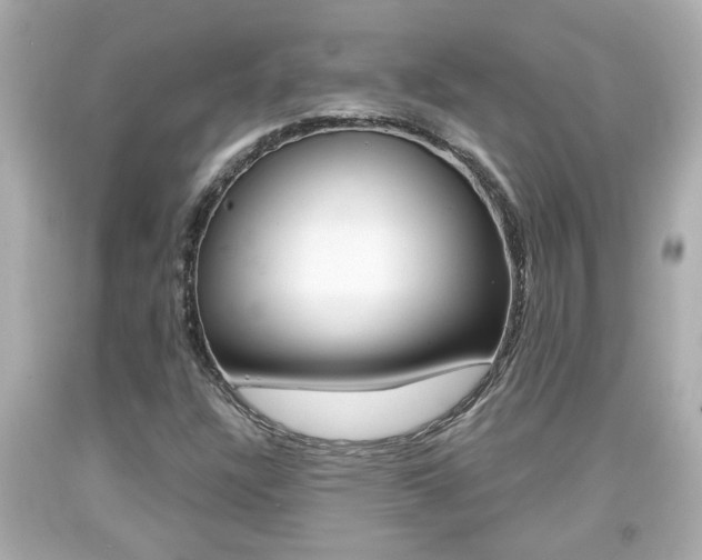 X0000094381304200711020815
