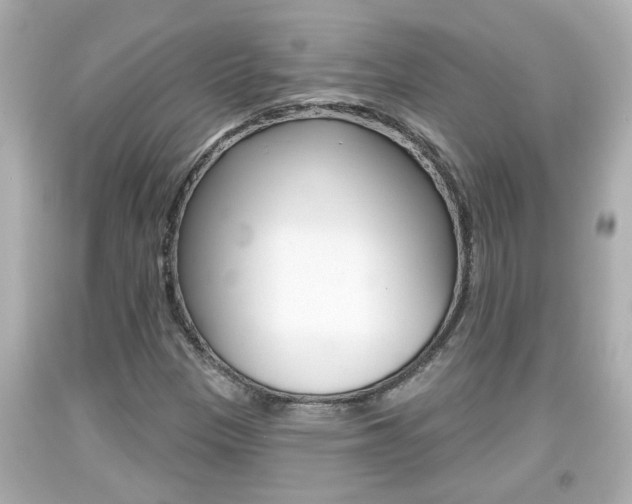 X0000094381305200711020815