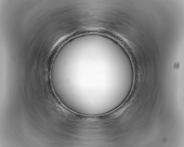 X0000094381306200711020815