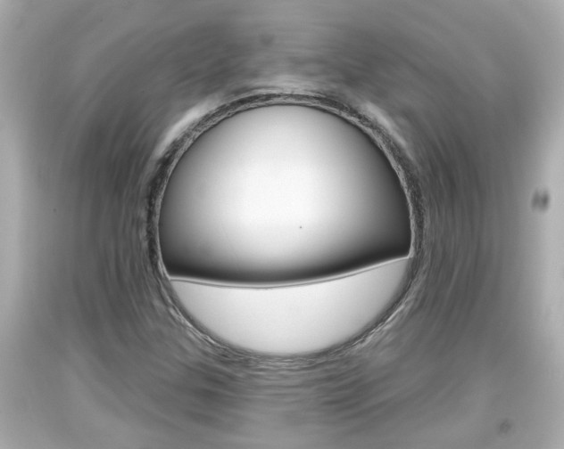 X0000094381307200711020815
