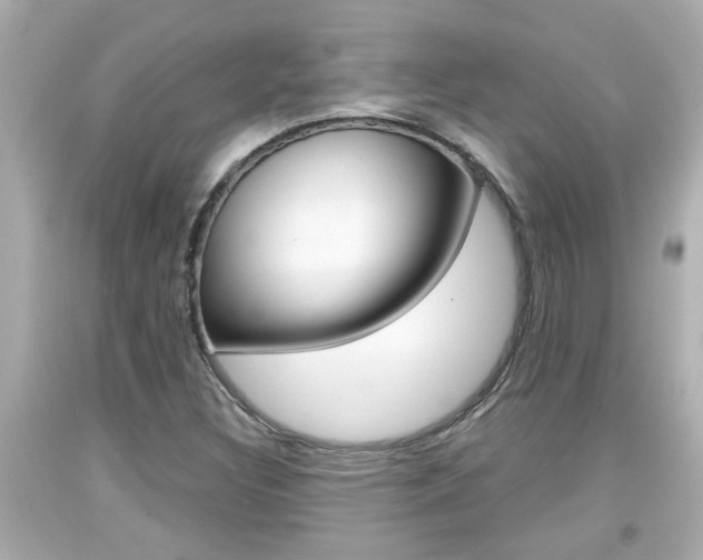 X0000094381308200711020815