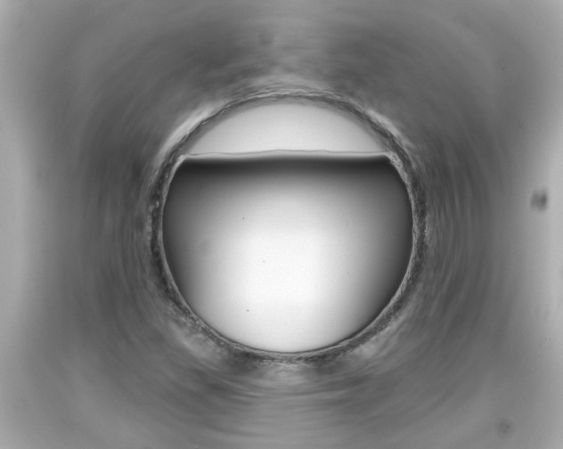 X0000094381309200711020815
