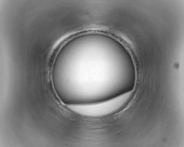 X0000094381310200711020815
