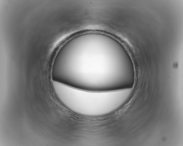 X0000094381311200711020815