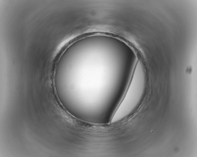 X0000094381312200711020815