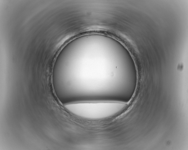 X0000094381313200711020815