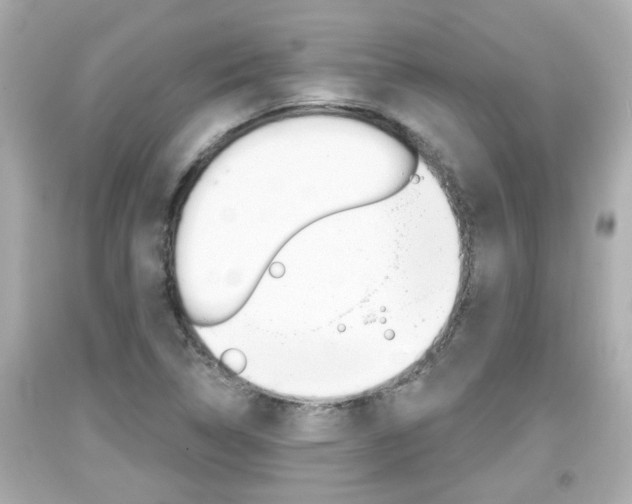 X0000094381314200711020815
