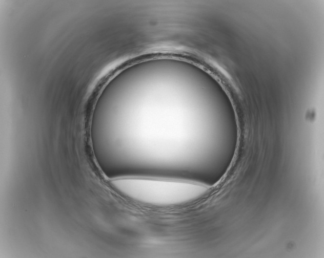 X0000094381315200711020815