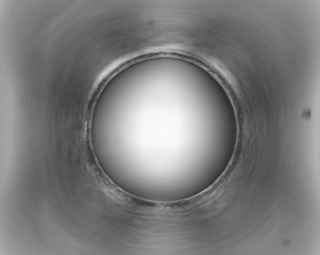 X0000094381316200711020815