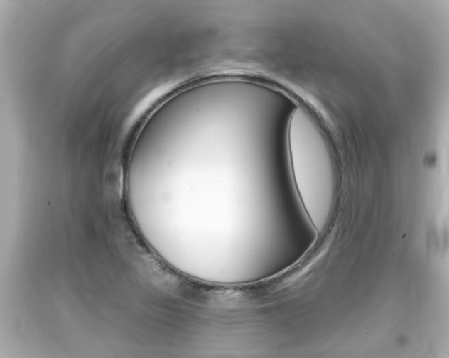 X0000094381317200711020815