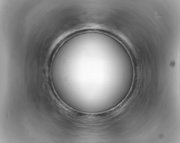 X0000094381318200711020815