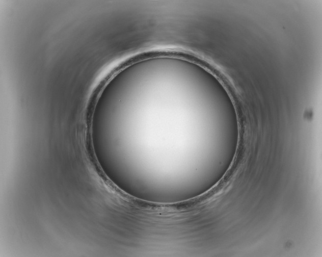 X0000094381319200711020815