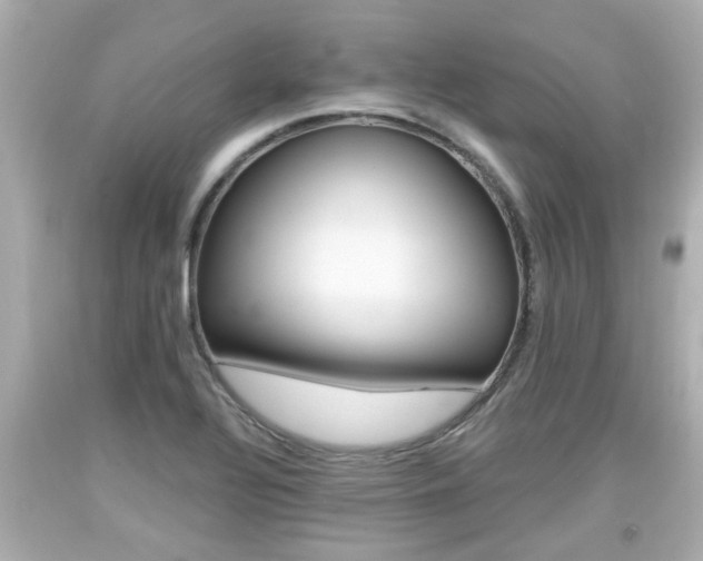 X0000094381320200711020815